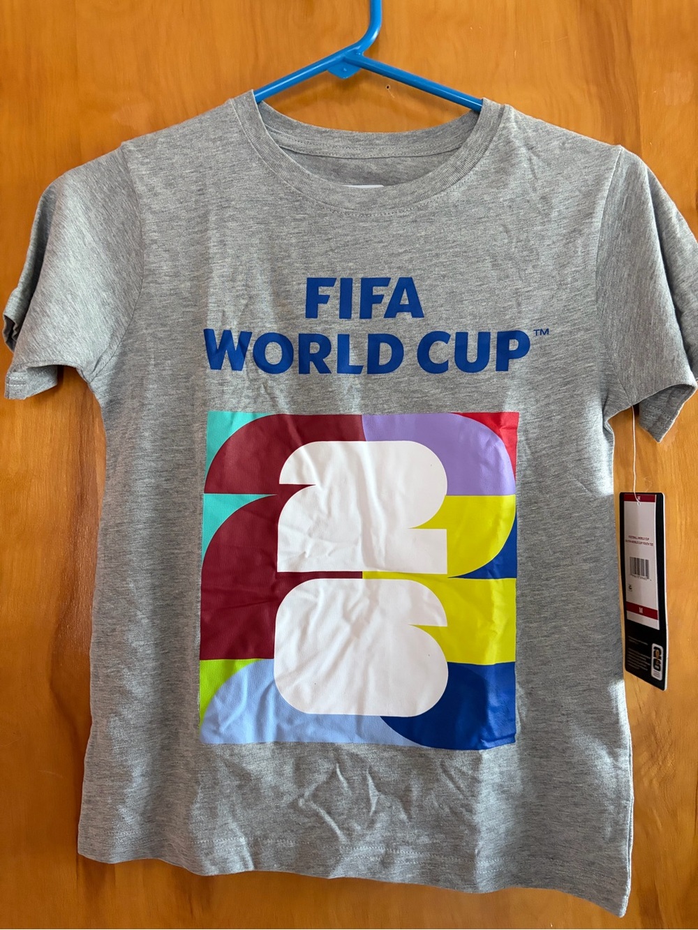 FIFA World Cup Gray Graphic Tee